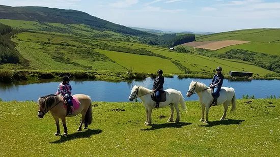 Ballahimmin Riding & Pony Trekking Centre