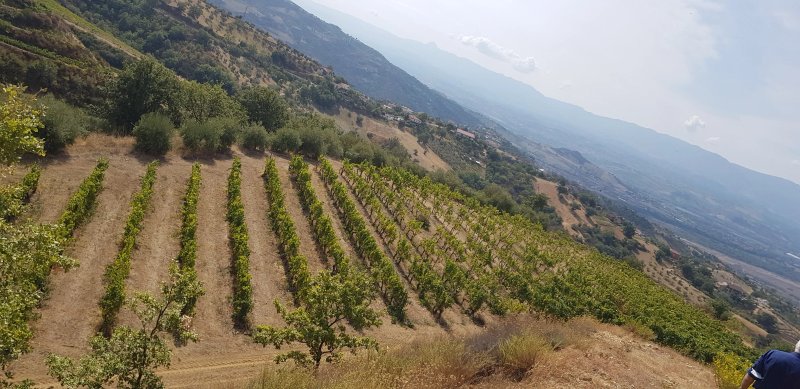 La Foresteria Di Serracavallo