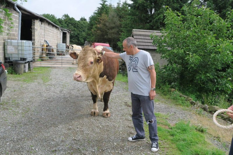 Bridge House Farm
