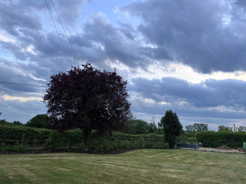 Spring Paddocks B&B