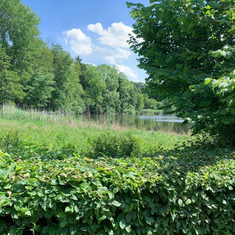 Brandt's Gaststatte