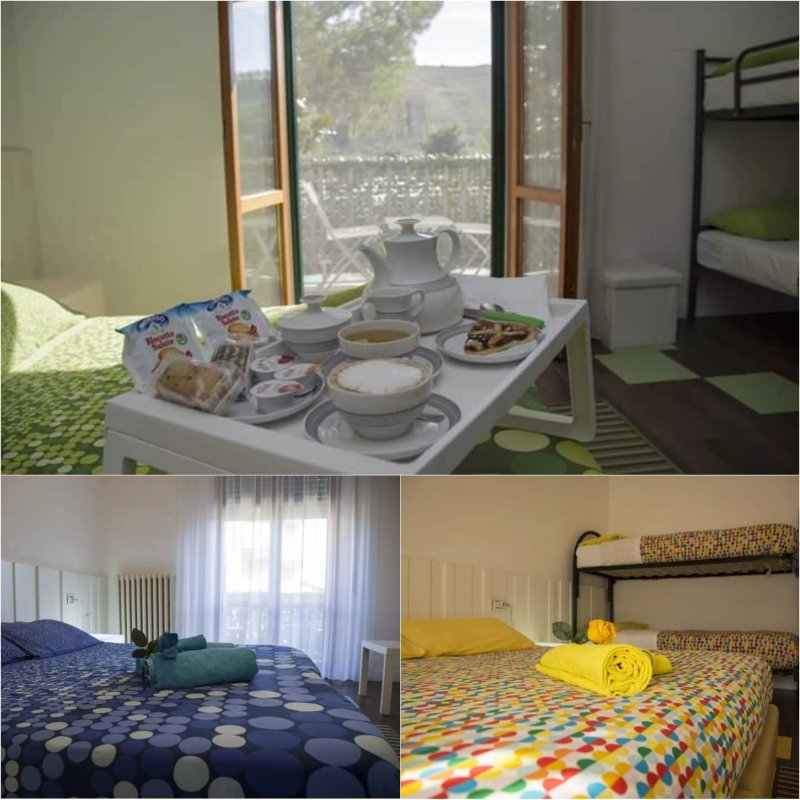 B&B Geco