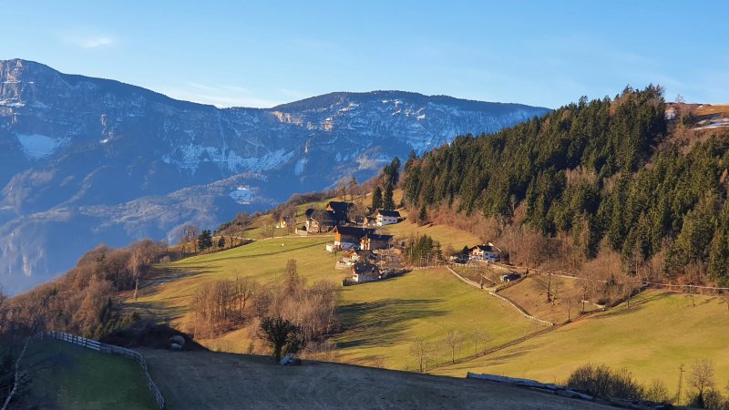 Schwabl Auf Der Ebene