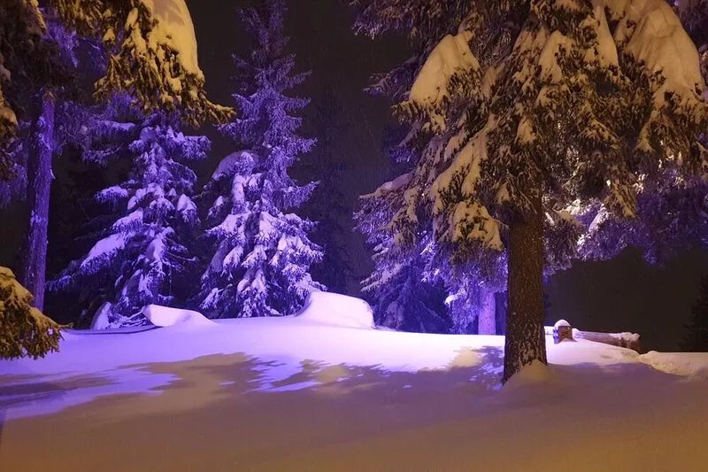 BEAUTIFUL HIGH STAND APART IN LA ROSIERE 5 ROOMS 10 PERS  THE FOOT OF THE SLOPES