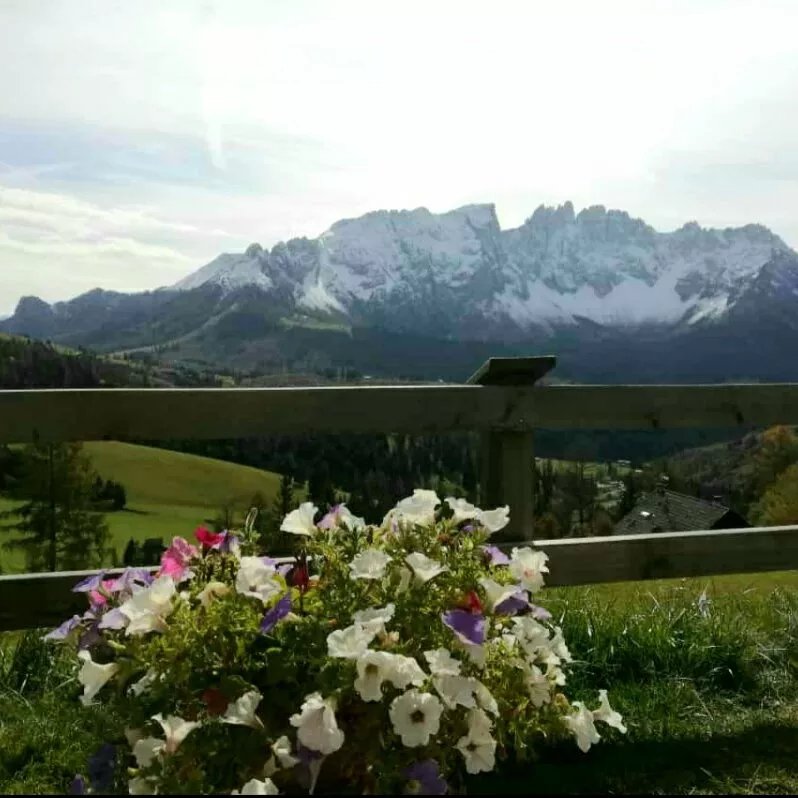Dolomiti