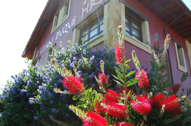 Hotel Rural Elgran Duque