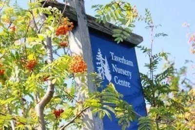 Taverham Nursery