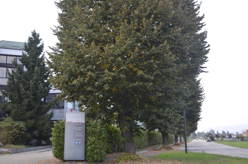 Hotel Cavalieri