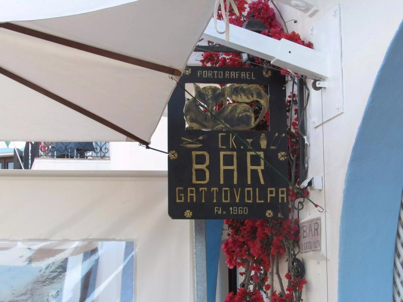 Gattovolpa