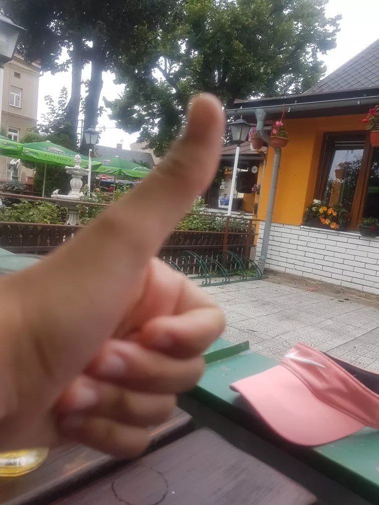 Restaurace U Lipy