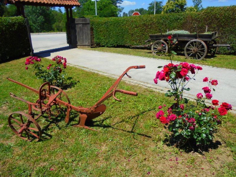 Markov Konak Guest House