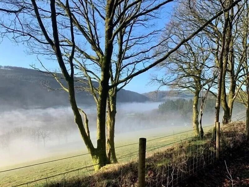 Fantastic situation on the edge of the Brechfa Forest.