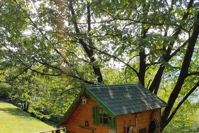 CHALET and Country cottage for 8 people