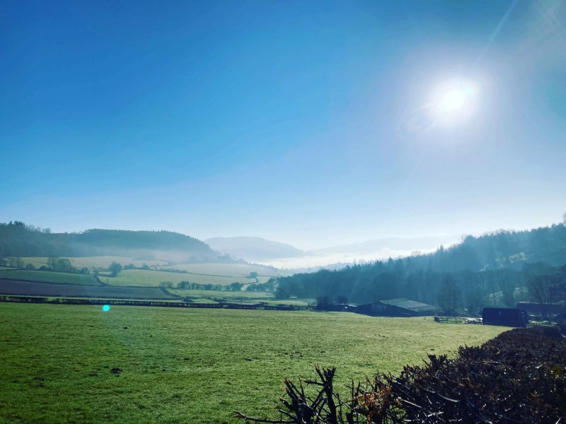 Buckholt House Farm Glamping
