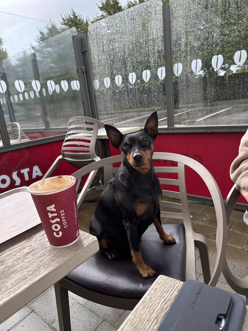 Costa Coffee