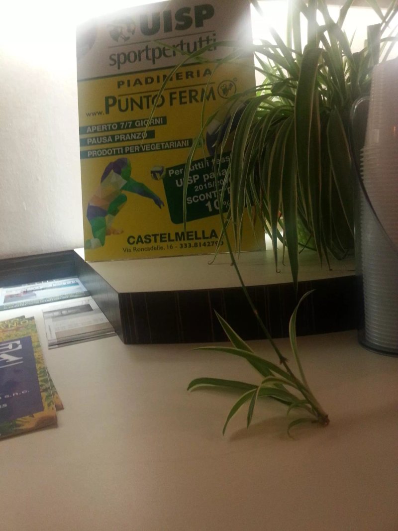 Punto Fermo Piadineria