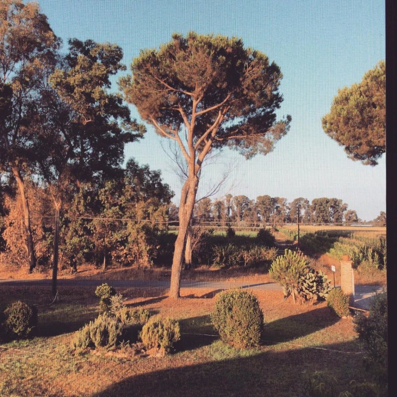 Flora B&B