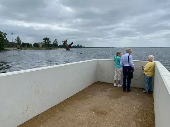 Wijde Wellen
