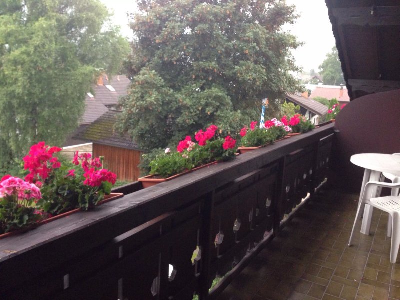 Hotel Birkenhof