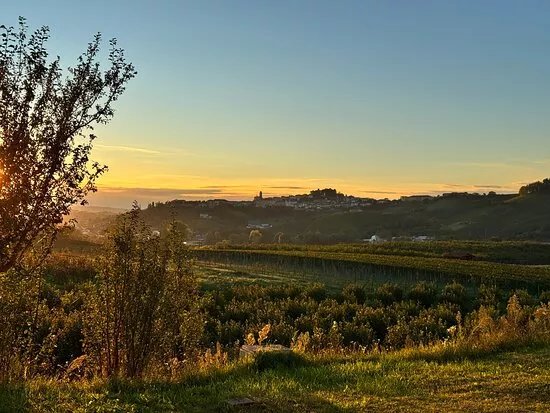 Azienda Agricola Criolin