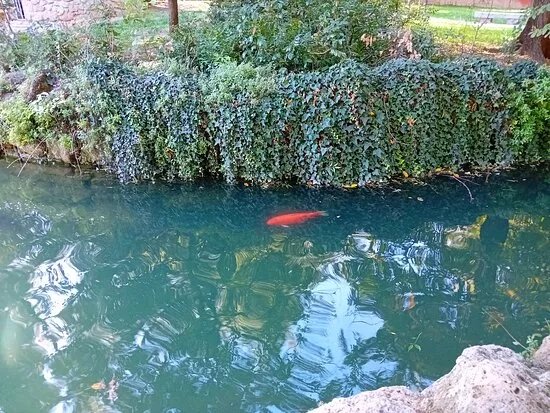 Parco Giardino Ducale Estense