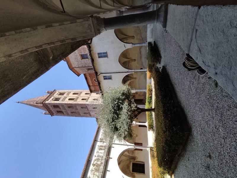 Gelateria La Romana Saluzzo