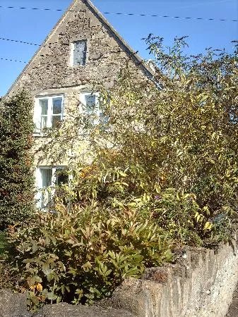 Kings Stile Cottage