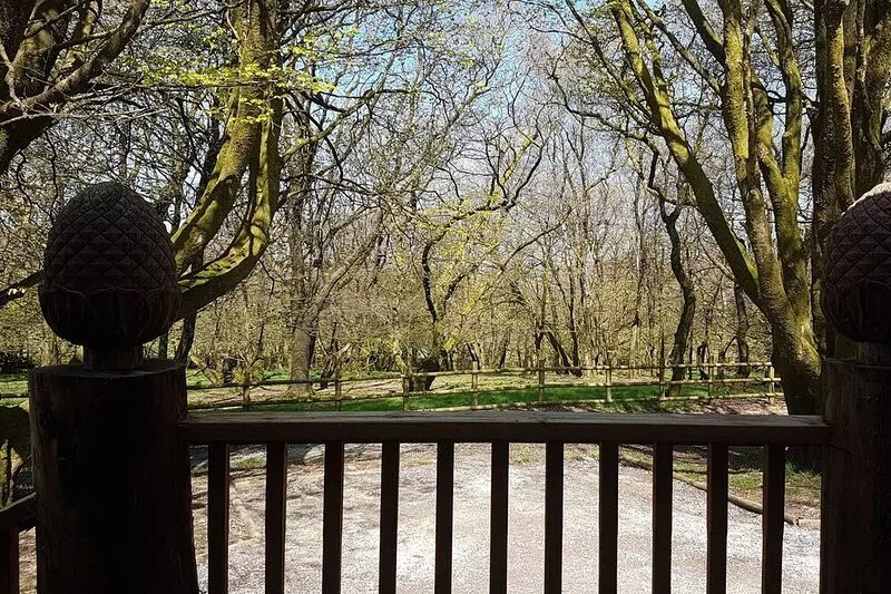 Woodpecker Lodge, a secluded log cabin in beautiful north Devon