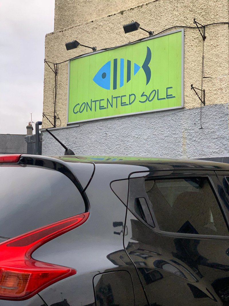 The Contented Sole