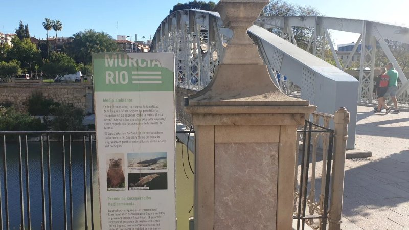 Puente Nuevo