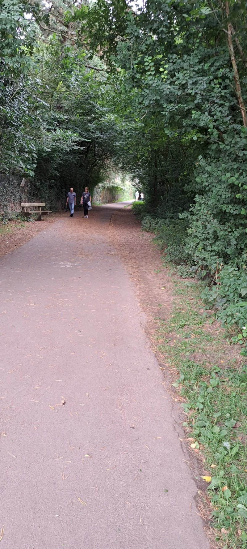 Bromwich Parade