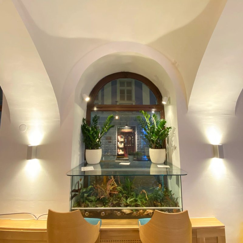 OAZA Joyful Kitchen