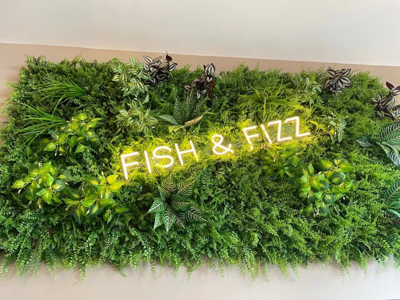 The Fish Lounge