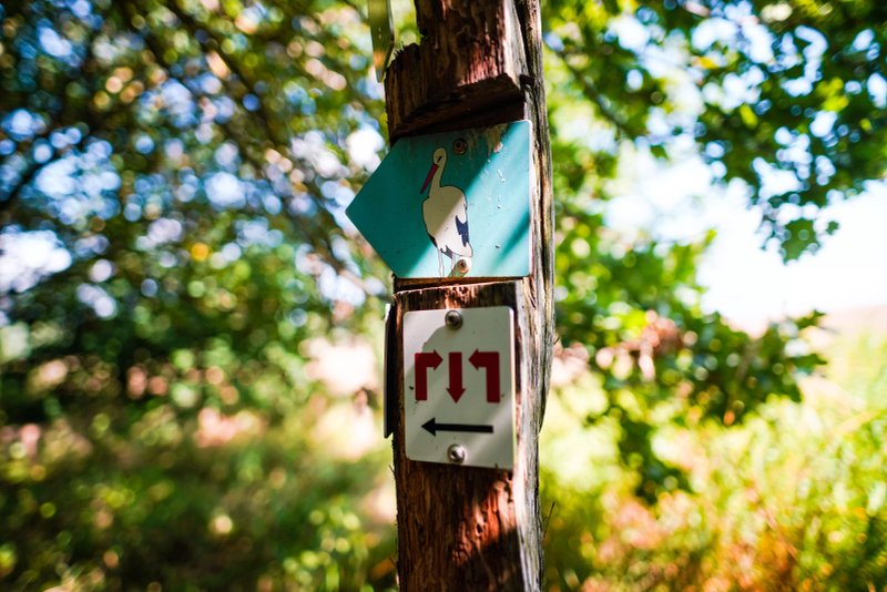 Minett Trail Stage: Schifflange - Bergem