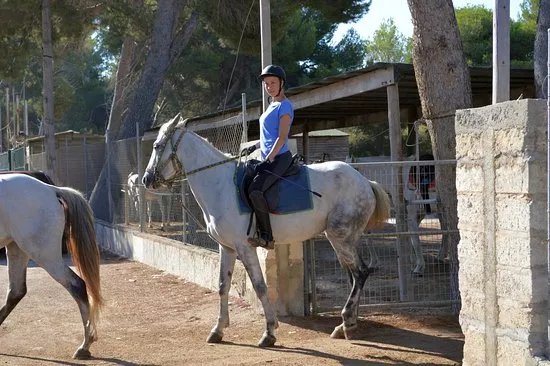 Rancho Ca'n Picafort