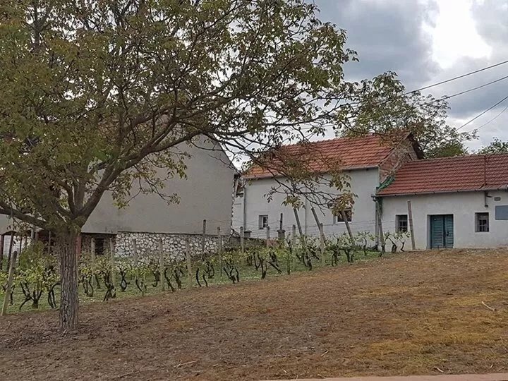 Penzion Pod Kravi Horou