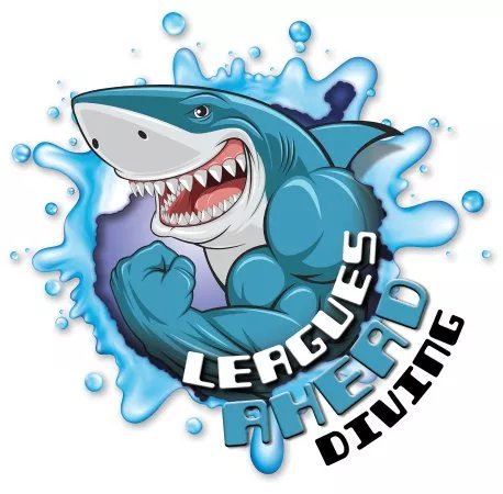 Leagues Ahead Diving