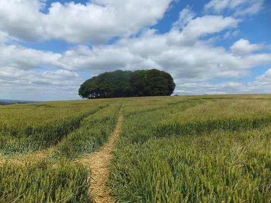 The Ridgeway National Trail