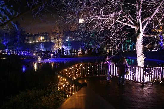 Norie Miller Park