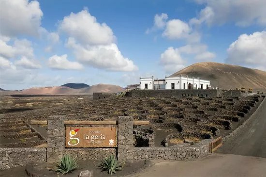 Bodega La Geria