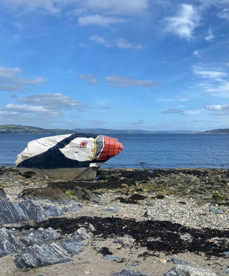 Puffin rock
