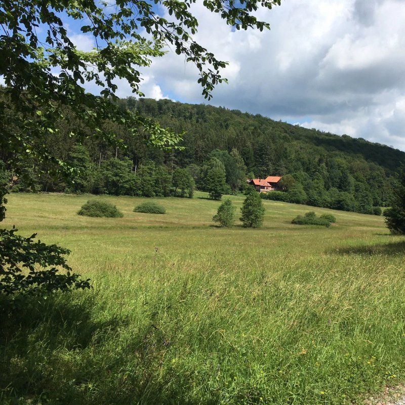 Forsthaus Sylvan