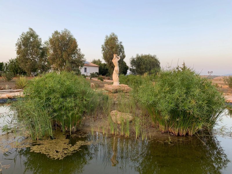 B&B Il Giardino Di Afrodite