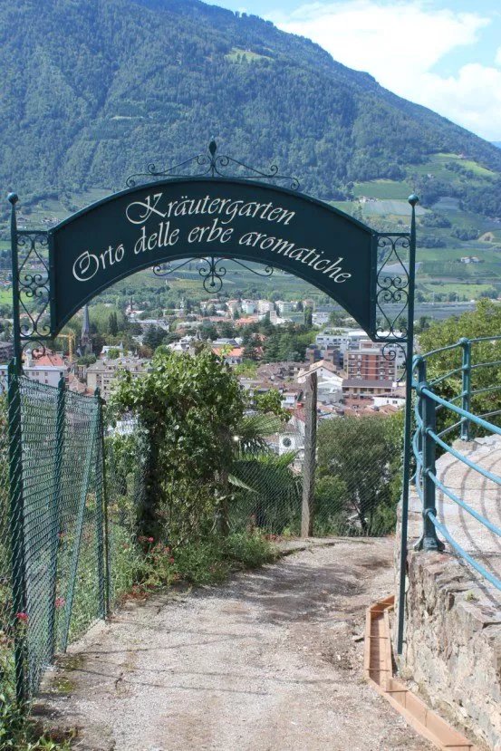 Orto Delle Erbe Aromatiche