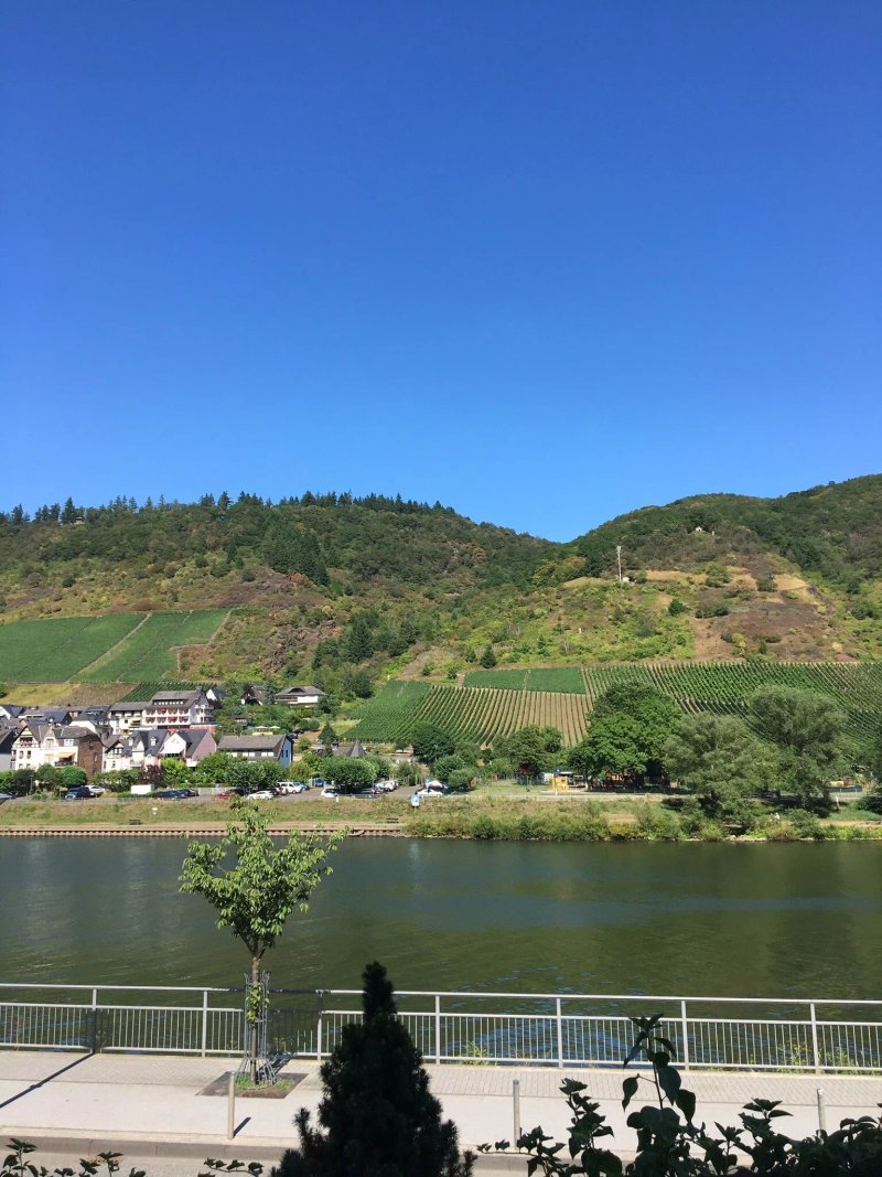 Weinhotel Cochem