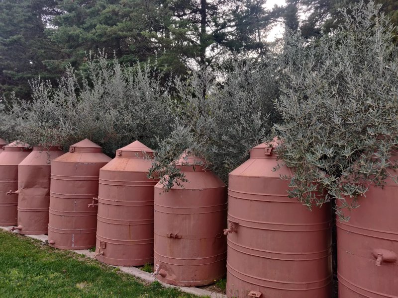 Quinta da Bizelga Cottages