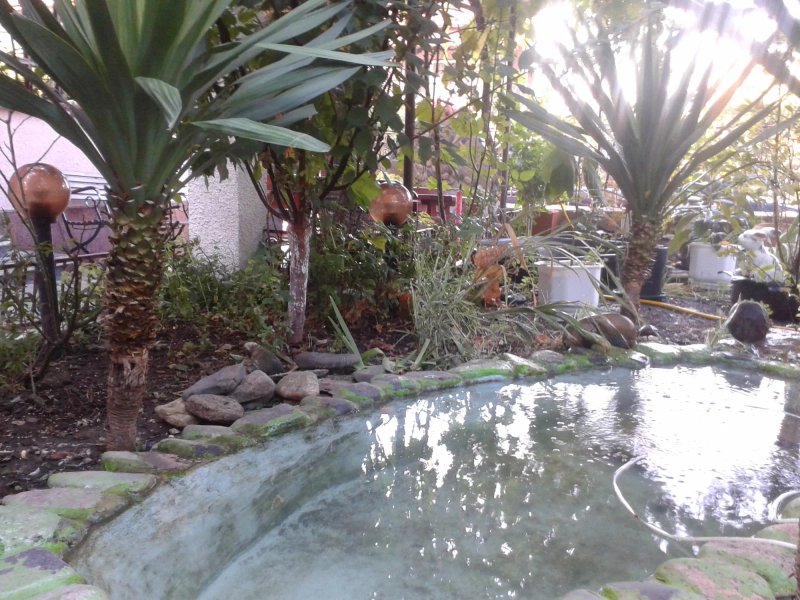Family Hotel Golden Lion