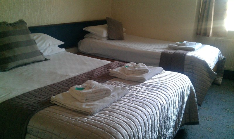 The Stuffed Dormouse Hotel