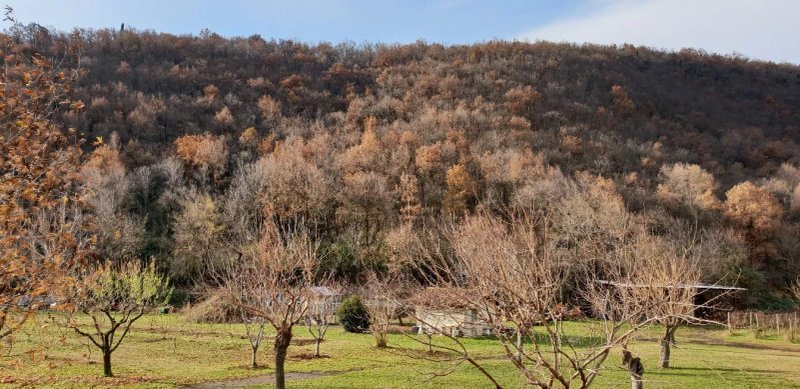 Agriturismo Locanda Del Pesco
