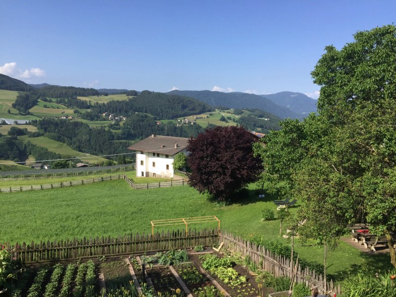 Braunhof